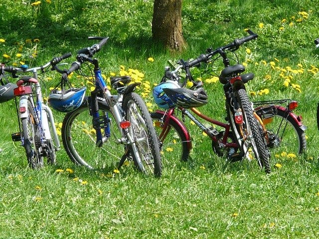 Family cycling in Kings Park